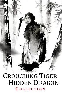 Kaplan ve Ejderha - Crouching Tiger, Hidden Dragon